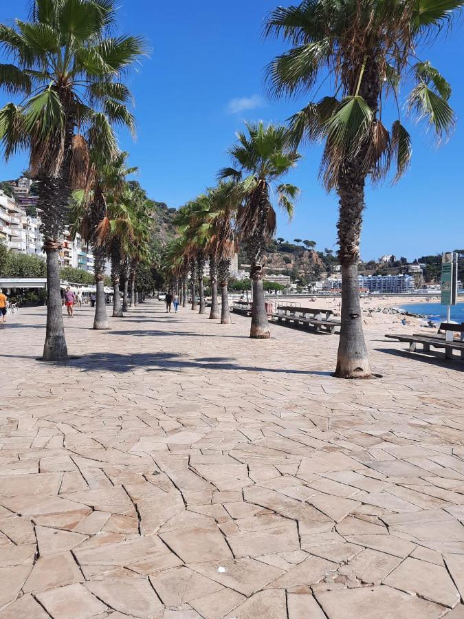 Habitacion Delante De La Playa 布拉内斯 外观 照片